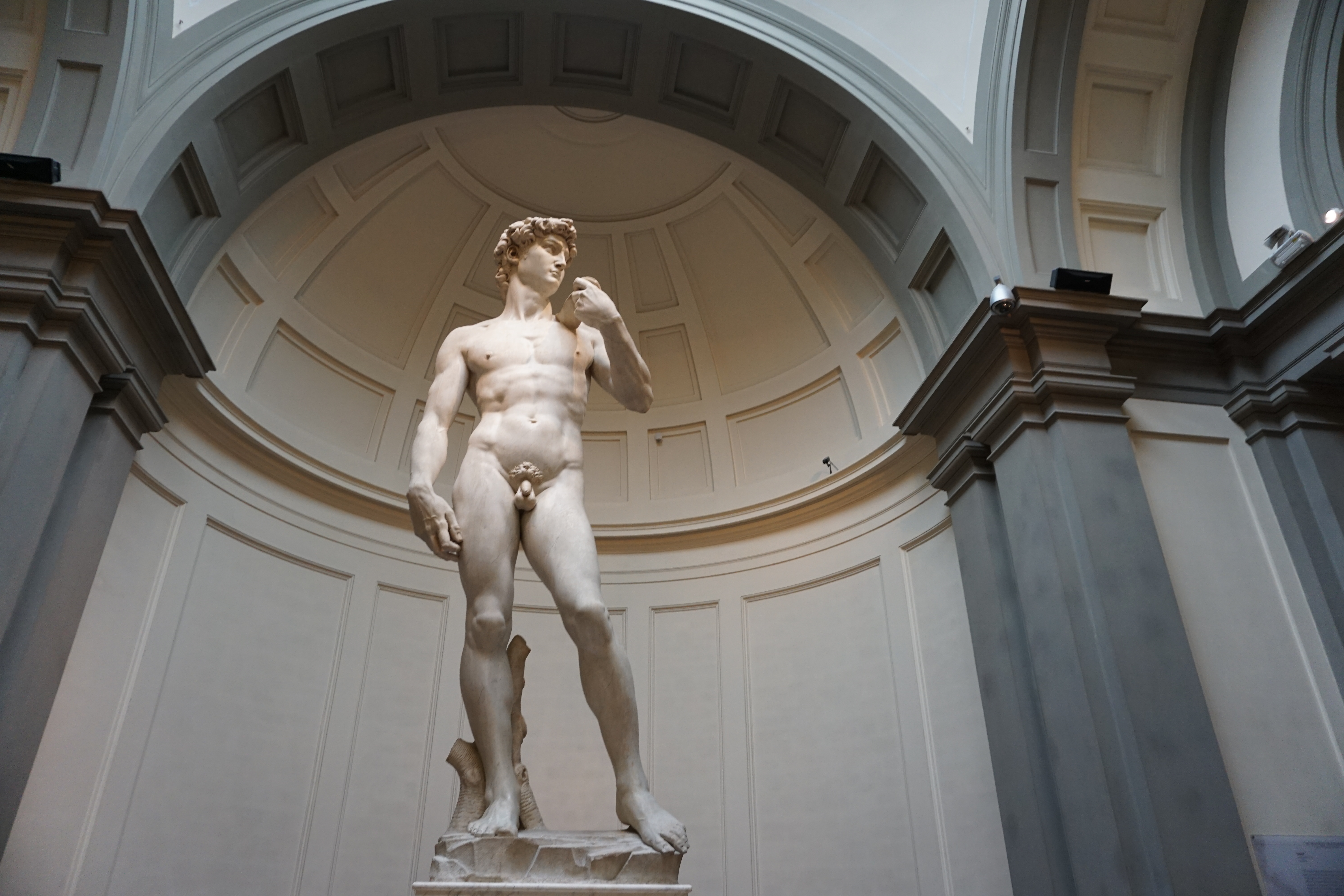 The David Statue