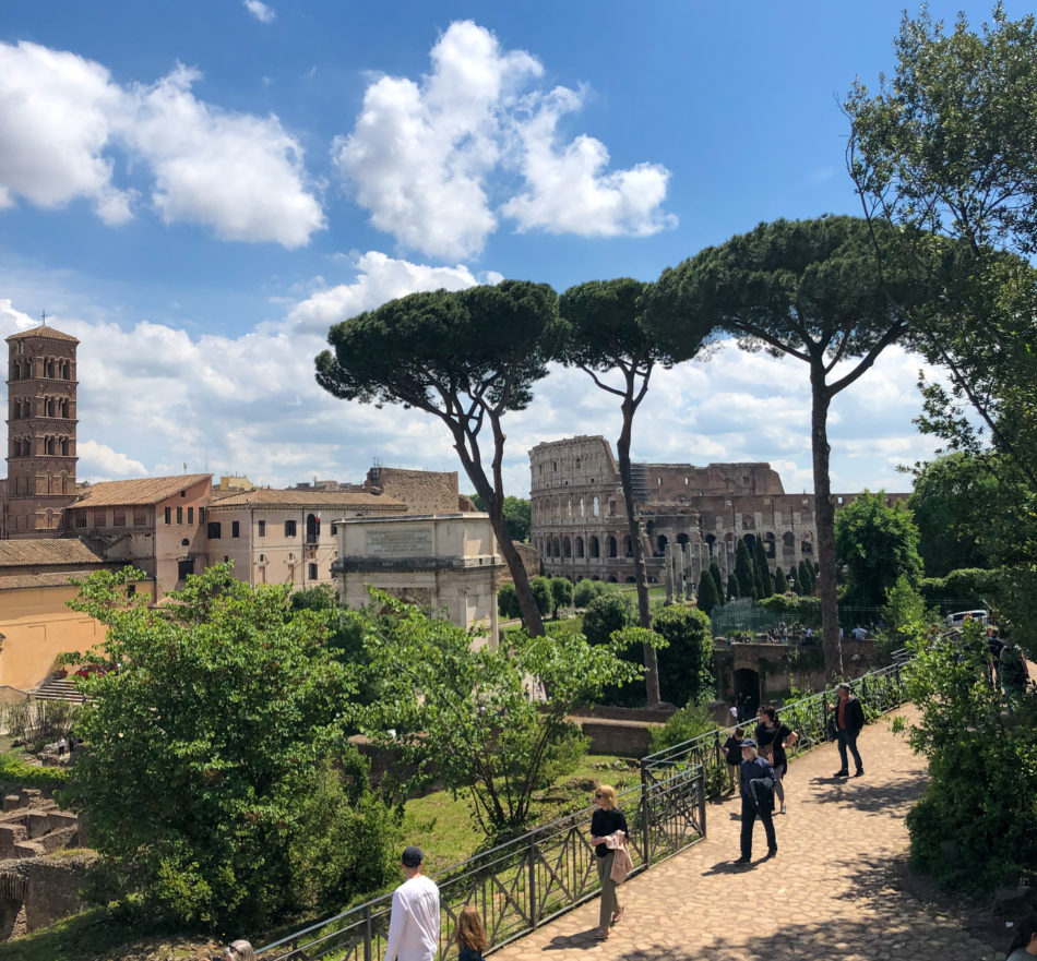 View from Palatine Hill in Rome