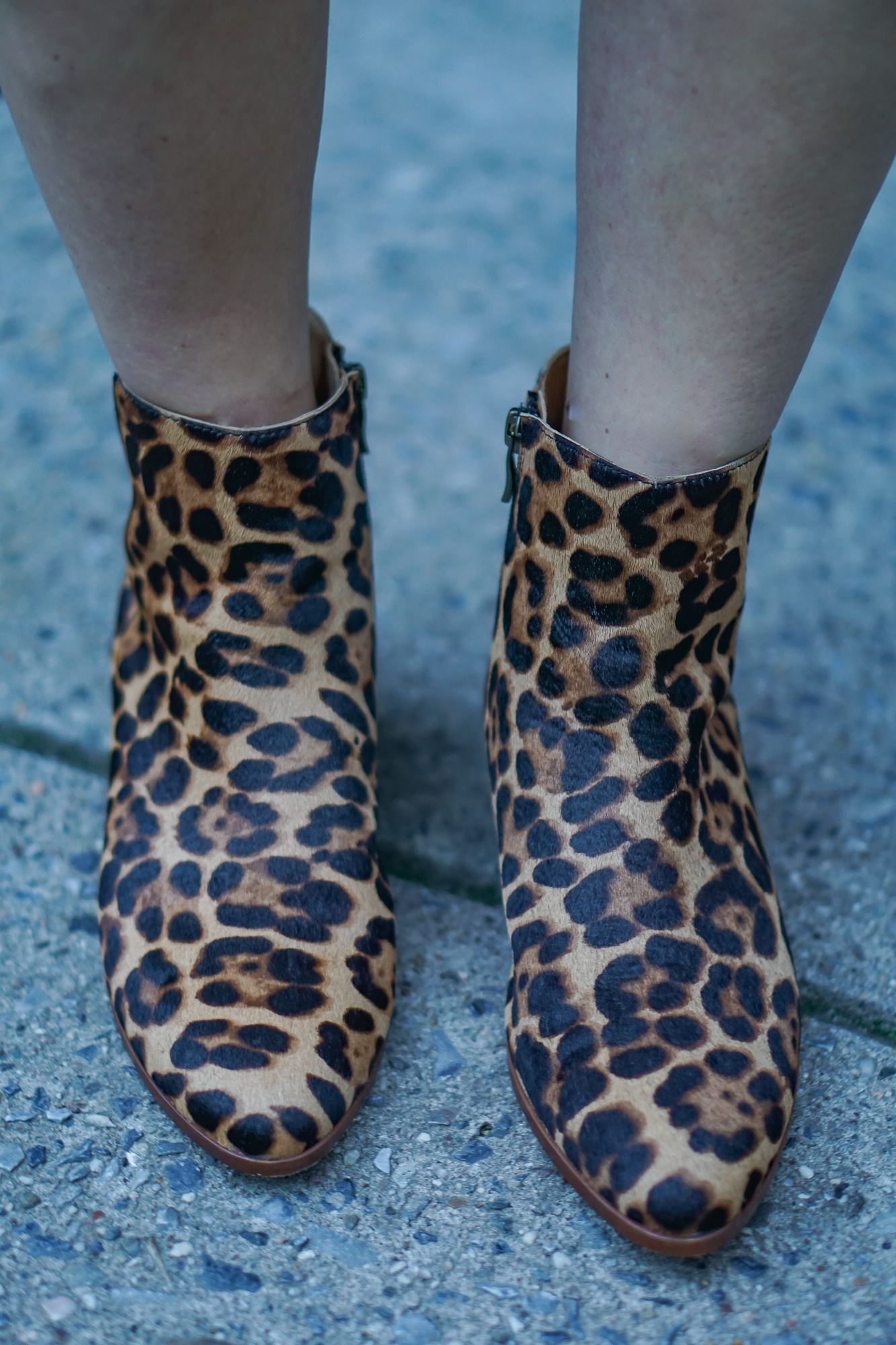 Leopard booties